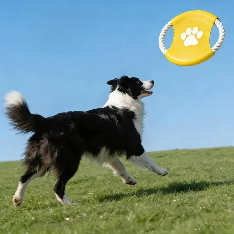 Internet Celebrity Pet Cotton  - огляд і ціна Flying Disc Dog Training Toy