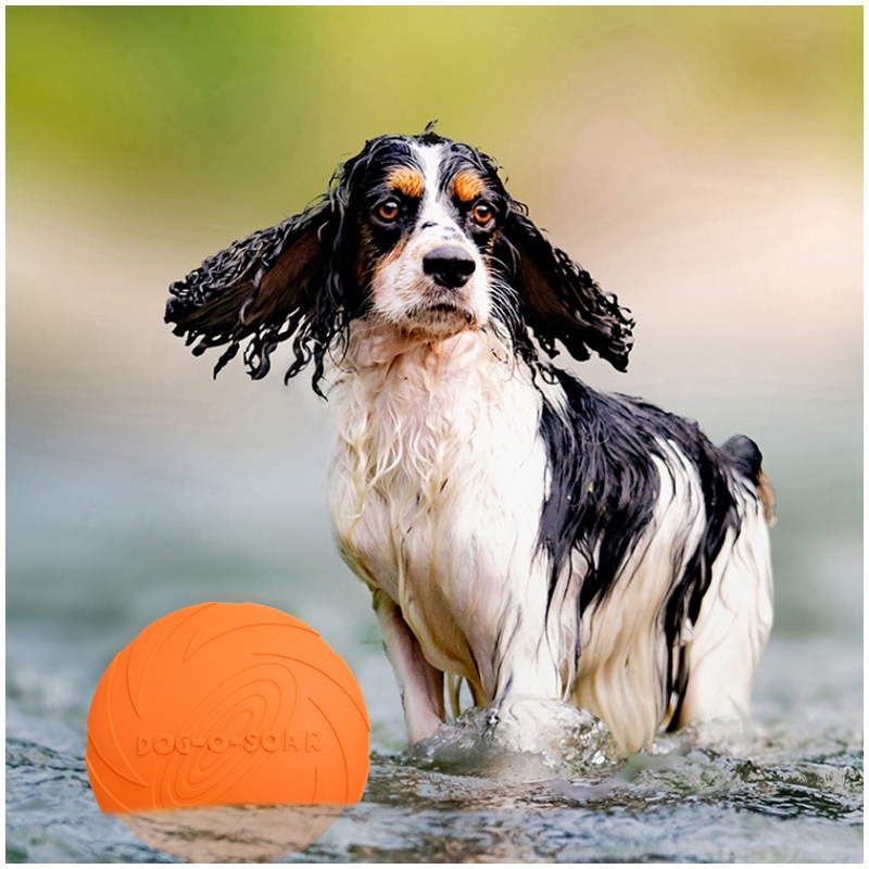 Interactive Silicone Flying Sa - огляд і ціна Flying Disc Dog Training Toy