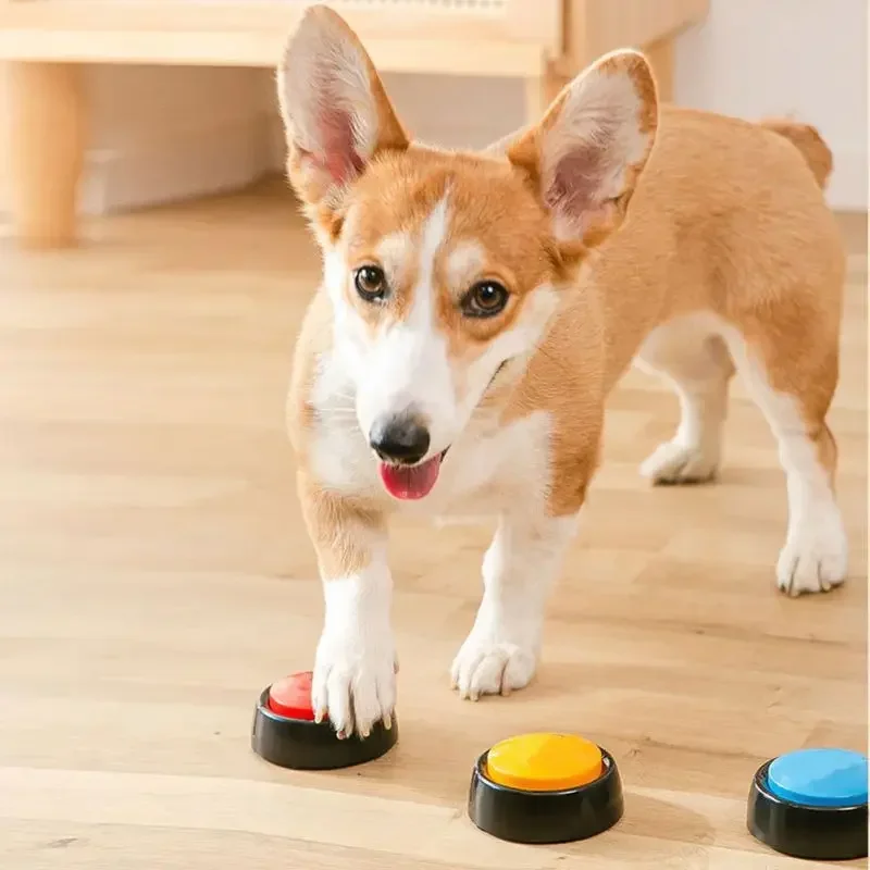 2026 Recordable Talking Pet Bu - огляд і ціна Interactive Squeaky Plush Dog Toy