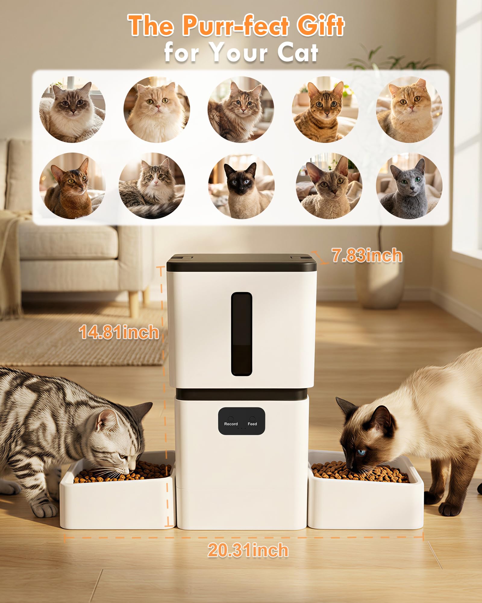 5GHz WiFi 8L Smart Automatic P - огляд і ціна Pet Feeders